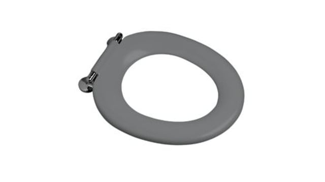 Caroma Pedigree II Single Flap Care Seat Anthracite Grey with GermGard (320030AG)