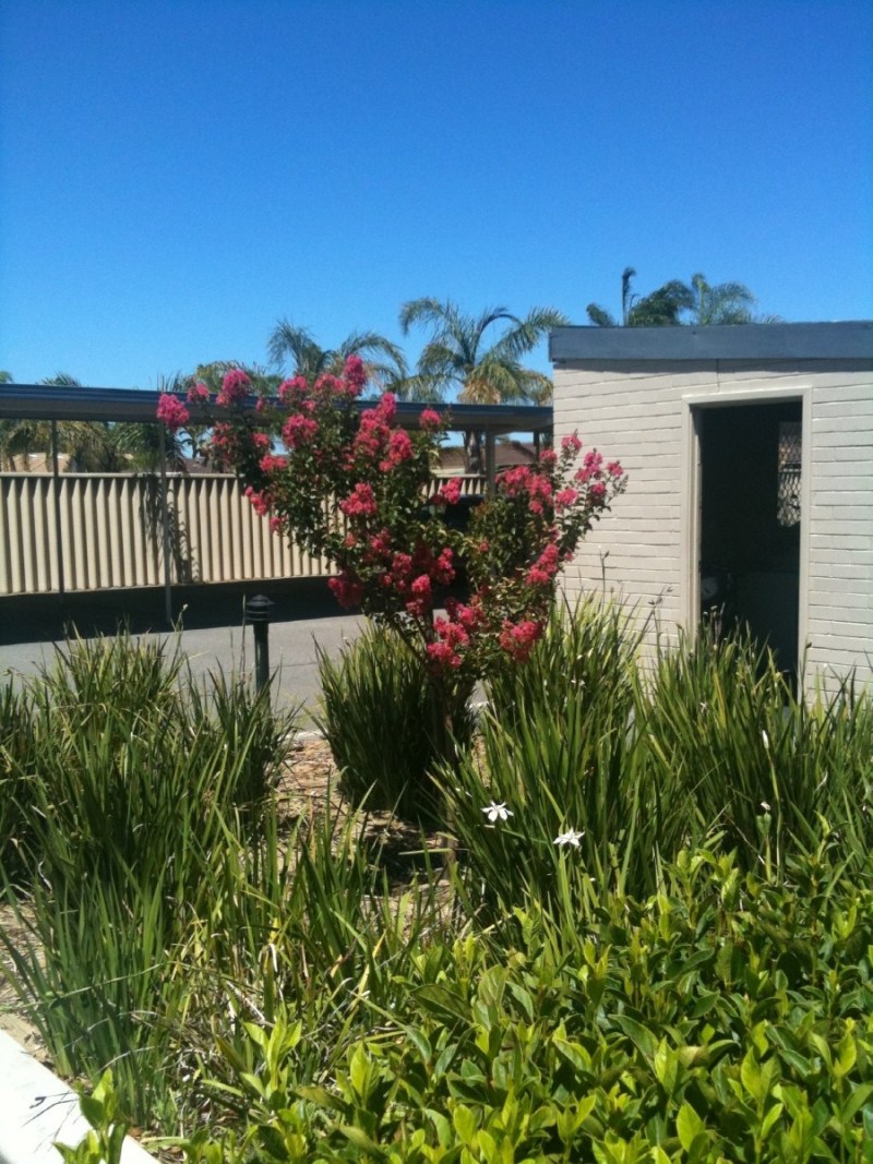 Osborne Park guide, moving to Perth (Greater)