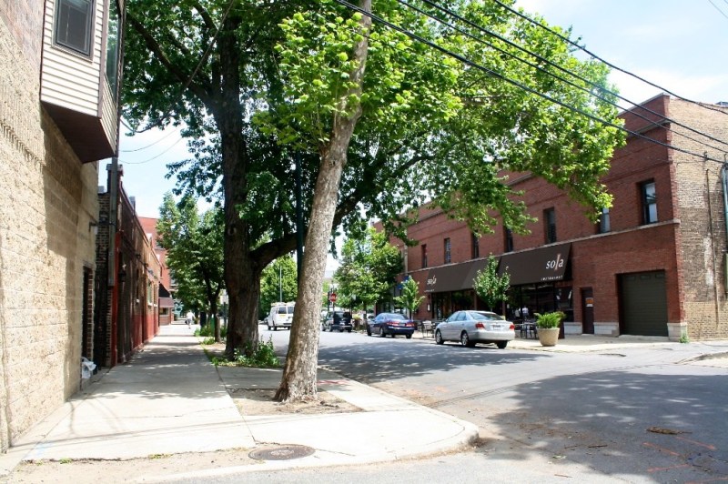 North Center guide, moving to Chicago StreetAdvisor