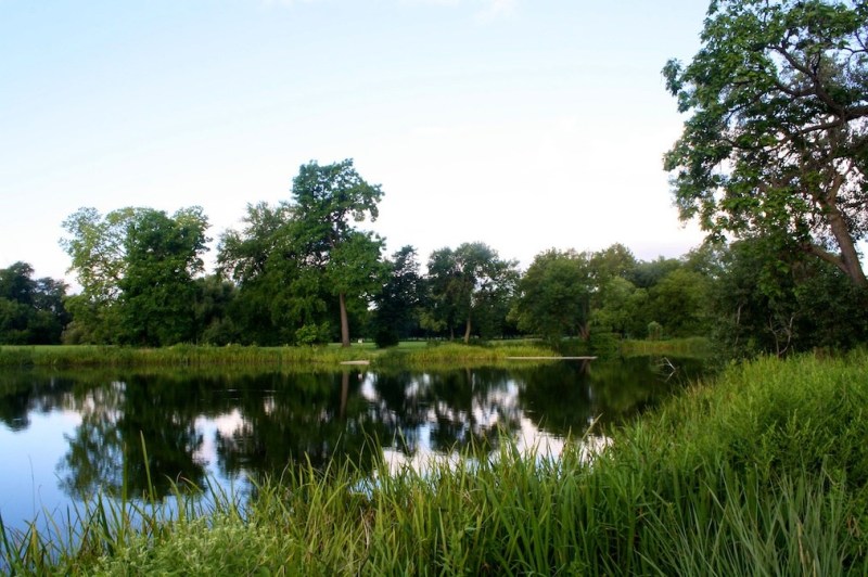 Washington Park guide, moving to Chicago  StreetAdvisor