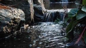 Die Lust am Leben ist in dir