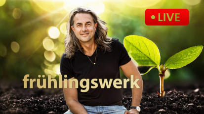 frühlingswerk | Tag 4 | Abendinspiration mit Q&A | Live Video | mit Veit Lindau