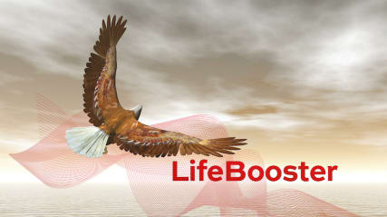 LifeBooster | Free yourself