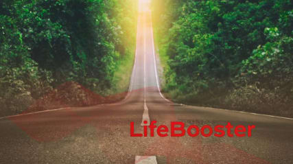 LifeBooster | Krisenwandler