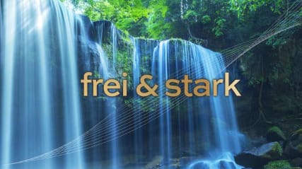 frei & stark