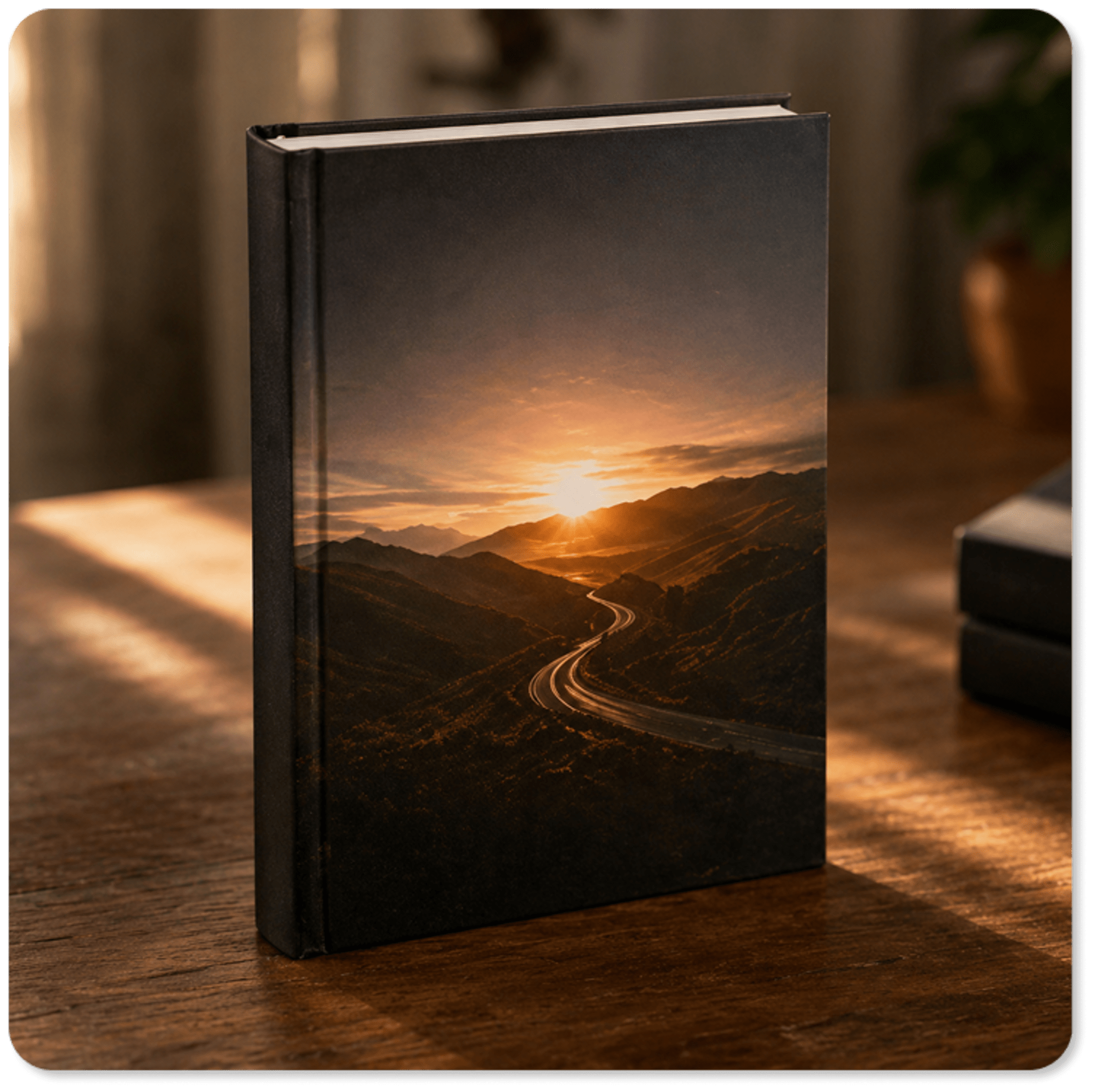 Hardcover (Case Bound)