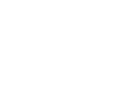 Palmetto Coast Dental logo