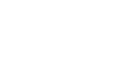 Blue Mountain Dental Care logo
