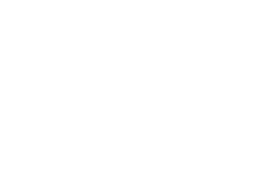 The Dentist Place logo