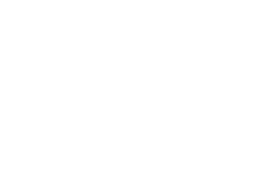 Palmetto Dental Health Associates logo