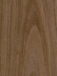 EW_WT_3160C_PS_Walnut_Closeup