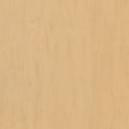 Columbia_FP_Maple_WP_A_Sap_Closeup