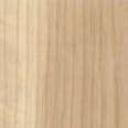 Wood_Species_AshÿWood_Species_Ash_Endgrain