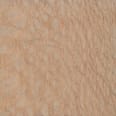 Wood_Species_LacewoodÿWood_Species_Lacewood_Endgrain