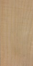 Wood_Species_Maple_Western