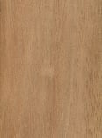 Wood_Species_Meranti_Light_RedÿPlywood_Panel_Veneer_Core