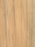 Wood_Species_Pine_Radiata