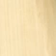 Wood_Species_Poplar_YellowÿWood_Species_Poplar_Yellow_Endgrain