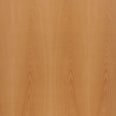 Birch-PS-A-SapÿBirch-PS-A-Sap-PanelÿVeneer_Cuts_Plain_Slicing