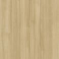 Tafisa_Karisma_Sheer_Beauty_L581_K_CL
