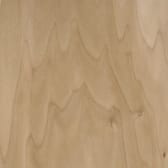 Poplar Plywood