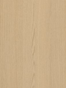 Shinnoki_Desert_Oak_Closeup