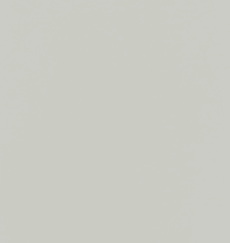 American_Laminates_Folkstone_CloseupÿPlywood_Panel_MDF_Core