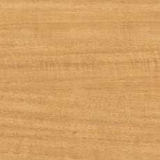 Pionite_HPL_Silvio_WY131