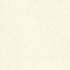 Pionite_HPL_Vana_WF131