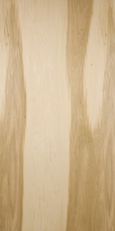 Murphy_HP_Poplar_WP_08