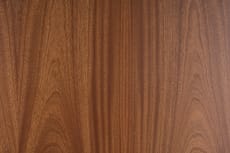 Murphy_HP_Sapele_02