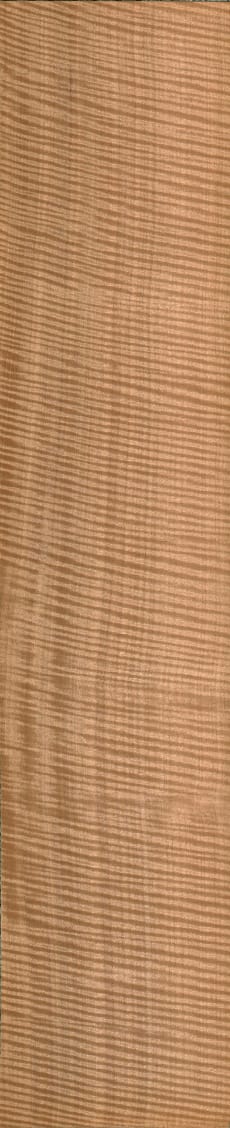 Wood_Species_Anigre_CurlyÿWood_Species_Anigre_Sanded