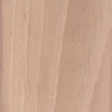 Wood_Species_Beech_EuropeanÿWood_Species_Beech_European_Endgrain