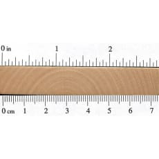 Wood_Species_Birch_Paper_Endgrain