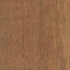 Wood_Species_JatobaÿWood_Species_Jatoba_Endgrain