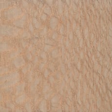Wood_Species_LacewoodÿWood_Species_Lacewood_Endgrain