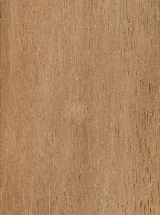 Wood_Species_Meranti_Light_RedÿPlywood_Panel_Veneer_Core