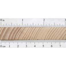 Wood_Species_Pine_Eastern_White_Endgrain