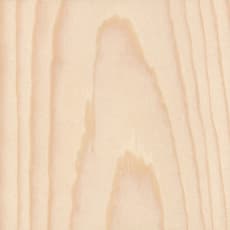 Wood_Species_Pine_PonderosaÿWood_Species_Pine_Ponderosa_Endgrain