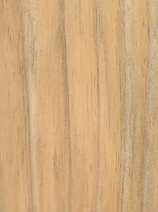 Wood_Species_Pine_Radiata