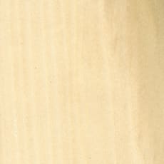 Wood_Species_Poplar_YellowÿWood_Species_Poplar_Yellow_Endgrain