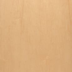 Maple-Rot-Spl-AÿMaple-Rot-Spl-A-Panel