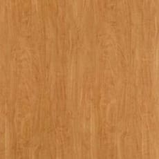 661_Caramel_Apple-350x350px