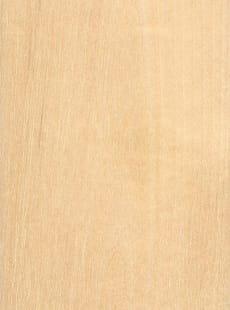 Birch-White-1ÿDP_MDF_X_Band_Veneer_Core_Labelled