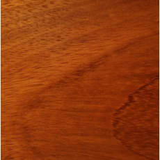 Iroko