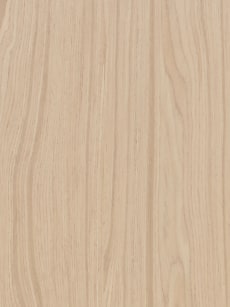 EW_GL_8833N_Desert_Acacia_CloseupÿEW_GL_8833N_Desert_Acacia_Panel