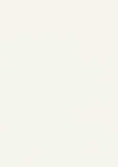 Egger_Classic_White_W960_ST7_CloseupÿEgger_Classic_White_W960_ST7_PanelÿPlywood_Panel_Particleboard_Core
