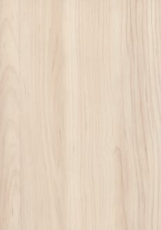 Egger_Champagne_Hard_Maple_H3860_ST9_Closeup