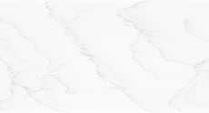 Staron_S12145PLG
