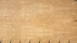 Dragon_Ply_Red_Birch_PanelÿVeneer_Cuts_Plain_Slicing